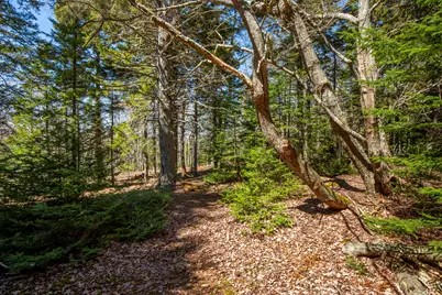 Lot C Lang Road, Saint George, ME 04860 - Photo 19