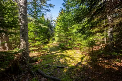 Lot C Lang Road, Saint George, ME 04860 - Photo 17