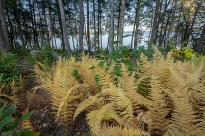 Lot 4 Chadwick Point Road, Weston, ME 04424 - Photo 13