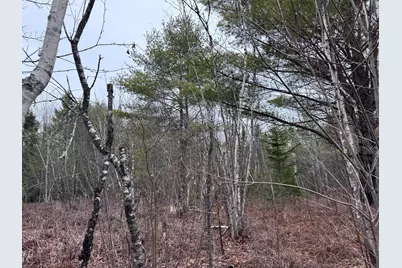 24 Wolf Run Trail, Greenbush, ME 04418 - Photo 7