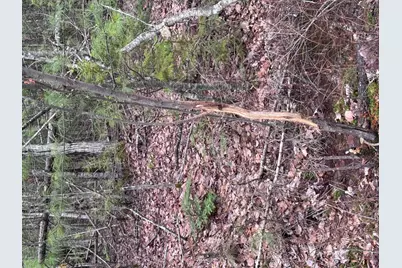 24 Wolf Run Trail, Greenbush, ME 04418 - Photo 17