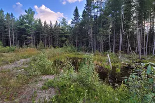 M15L10A Thomas Rd, Woodland, ME 04736 - Photo 1