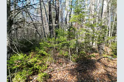 Lot 8A,9A James Way, Lincoln, ME 04457 - Photo 7
