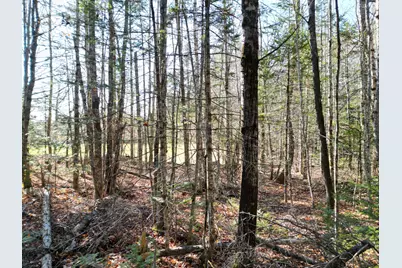 Lot 8A,9A James Way, Lincoln, ME 04457 - Photo 13