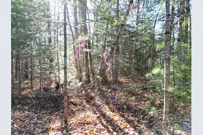 Lot 8A,9A James Way, Lincoln, ME 04457 - Photo 5