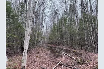 24&36 Wolf Run Trail, Greenbush, ME 04418 - Photo 9
