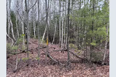24&36 Wolf Run Trail, Greenbush, ME 04418 - Photo 11