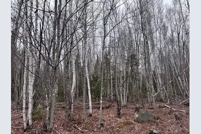 24&36 Wolf Run Trail, Greenbush, ME 04418 - Photo 19
