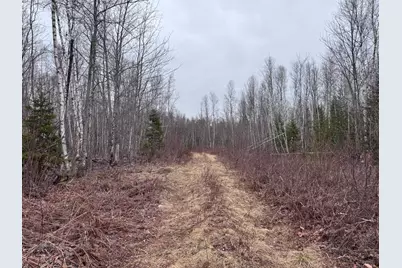 24&36 Wolf Run Trail, Greenbush, ME 04418 - Photo 15
