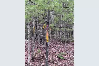 24&36 Wolf Run Trail, Greenbush, ME 04418 - Photo 13
