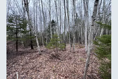 24&36 Wolf Run Trail, Greenbush, ME 04418 - Photo 3