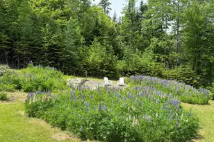 166 Station Rd, Sherman, ME 04776 - Photo 21