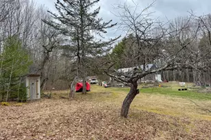 Lot 13 Fogg Brook Rd, Summit Twp, ME 04493 - Photo 7