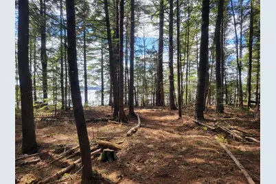 20 Moose Trail, Waltham, ME 04605 - Photo 13