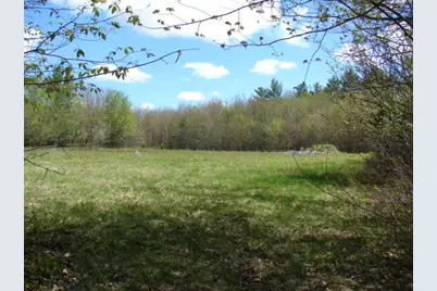 Lot 76.3 23 Acres Off Long Falls Dam Road, Limington, ME 04961 - Photo 9