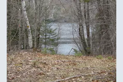 Lot 76.3 23 Acres Off Long Falls Dam Road, Limington, ME 04961 - Photo 11