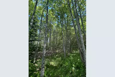 1008 Cape Jellison Road, Stockton Springs, ME 04981 - Photo 53