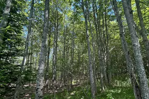1008 Cape Jellison Rd, Stockton Springs, ME 04981 - Photo 53