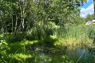 1008 Cape Jellison Rd, Stockton Springs, ME 04981 - Photo 57