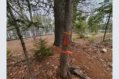 0 Jesses Beach Way, Ellsworth, ME 04605 - Photo 11
