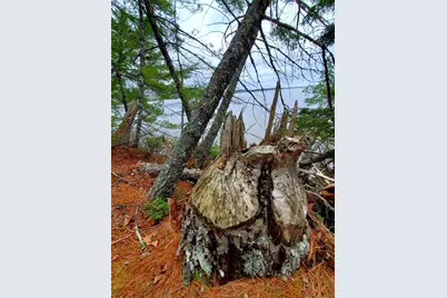 0 Jesses Beach Way, Ellsworth, ME 04605 - Photo 31