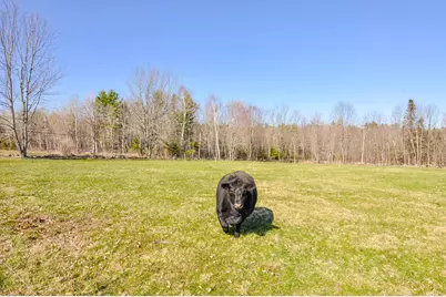 321 Schoodic Lake Road, Brownville, ME 04414 - Photo 81