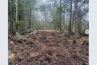 005-009A Ridge School Road, Liberty, ME 04949 - Photo 3