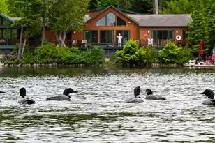 9 Outlet Cove Rd, Mariaville, ME 04605 - Photo 87