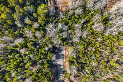 7 White Tail Lane, Gouldsboro, ME 04607 - Photo 15