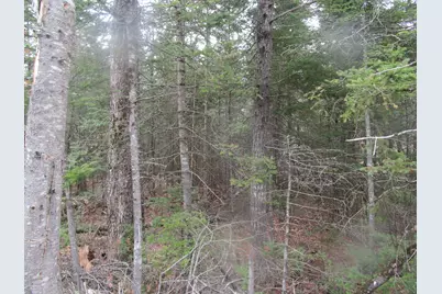 Rt 180 Rebel Hill Road, Clifton, ME 04428 - Photo 5