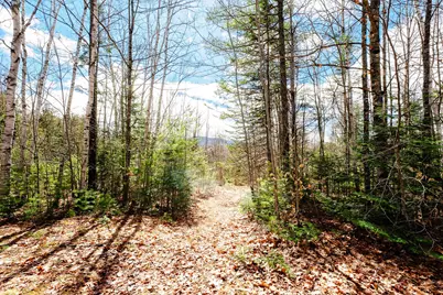 414 Taylor Hill Road, New Vineyard, ME 04956 - Photo 75