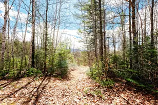 414 Taylor Hill Rd, New Vineyard, ME 04956 - Photo 75