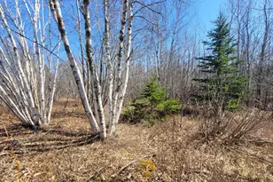 29 Reef Point Rd, Addison, ME 04606 - Photo 9