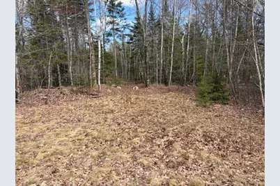Lot # 146 White Tail Road, Waltham, ME 04605 - Photo 9