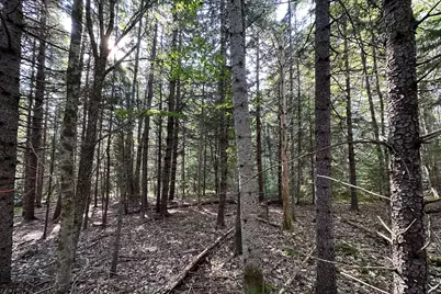 00 Cross Road, Sedgwick, ME 04676 - Photo 13