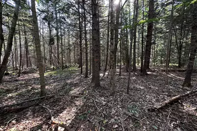 00 Cross Road, Sedgwick, ME 04676 - Photo 19