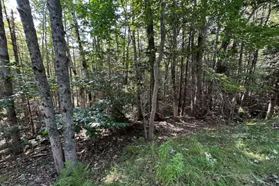 00 Cross Road, Sedgwick, ME 04676 - Photo 7