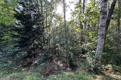 00 Cross Road, Sedgwick, ME 04676 - Photo 15