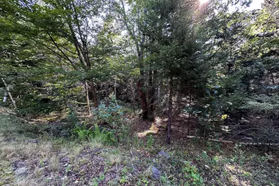 00 Cross Road, Sedgwick, ME 04676 - Photo 21