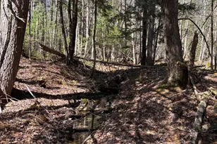 86 Mccrillis Brook Rd, Bethel, ME 04219 - Photo 35