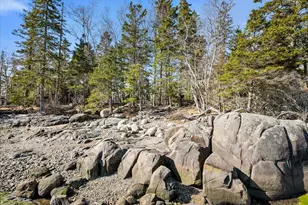 9999 Cove Island, Harrington, ME 04643 - Photo 53