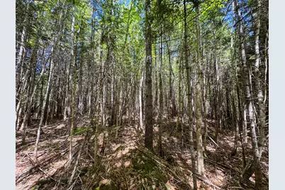 Lot 10 Morrison Brook Acres, Oakfield, ME 04763 - Photo 9