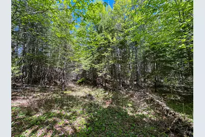 Lot 10 Morrison Brook Acres, Oakfield, ME 04763 - Photo 5