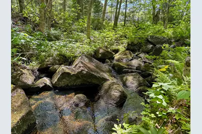 Lot 10 Morrison Brook Acres, Oakfield, ME 04763 - Photo 7