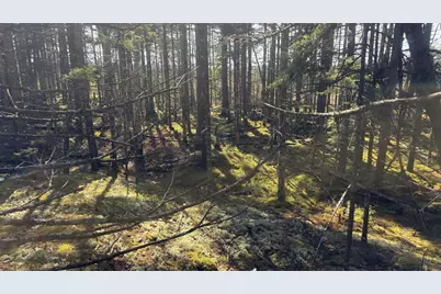 Lot 6&66 Woods Road, Deer Isle, ME 04627 - Photo 5