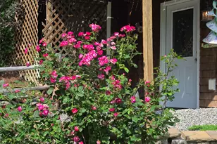 139 Five Rd, Carmel, ME 04419 - Photo 71