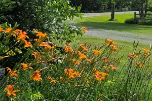 139 Five Rd, Carmel, ME 04419 - Photo 53