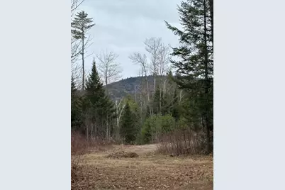 Lot 1 Fleming Road, Bethel, ME 04217 - Photo 5