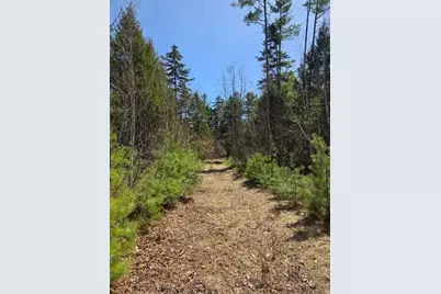 Lot 26-1 Old County Road, West Paris, ME 04289 - Photo 19