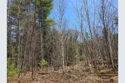 Lot 26-1 Old County Road, West Paris, ME 04289 - Photo 3